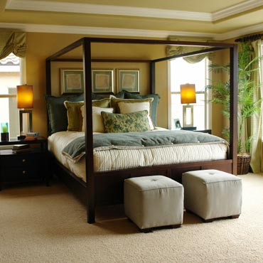 STAINMASTER® Carpet | Warrenville, IL